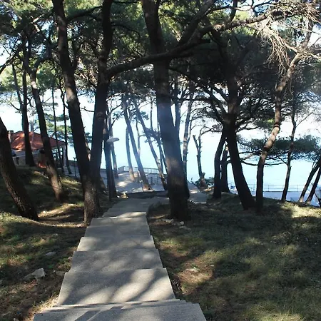 Margarita * Cavtat