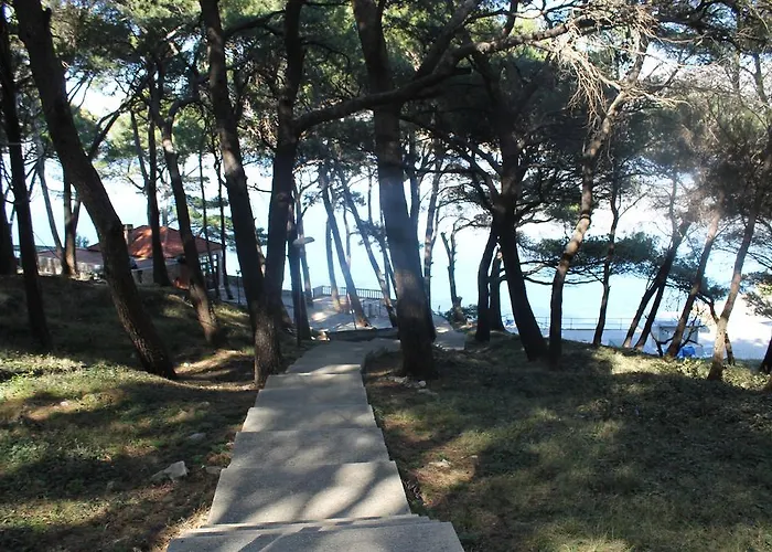 Margarita * Cavtat