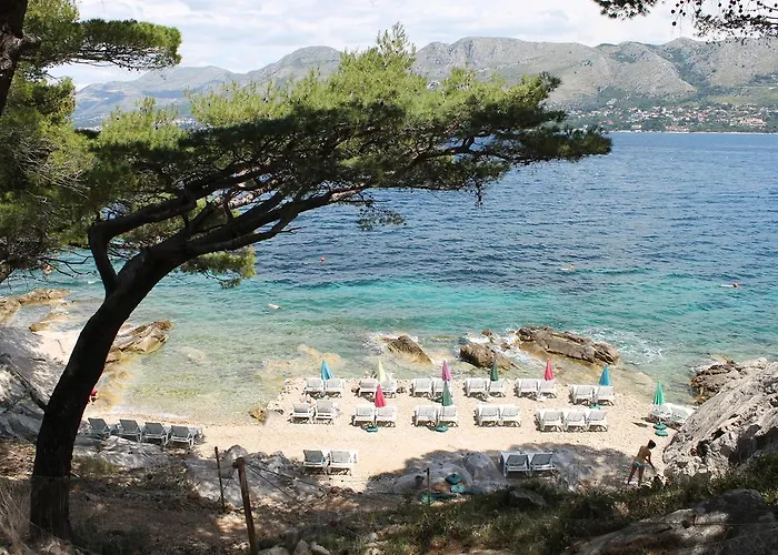 Margarita Cavtat