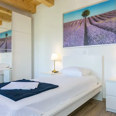 Margarita 챠브타트